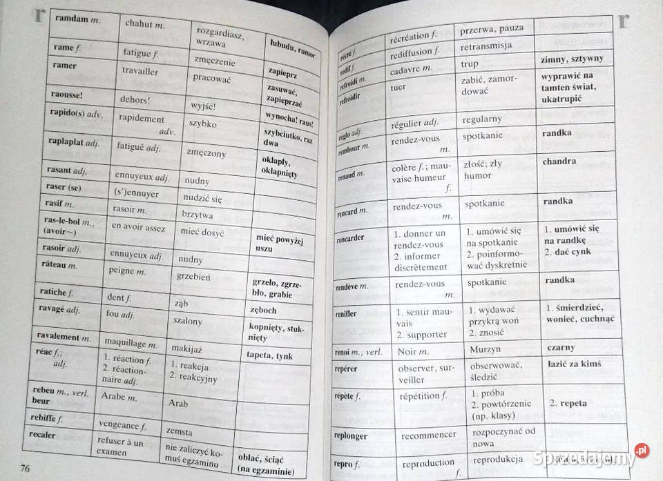 Le Ptit Argotier Słownik wyrazów potocznych i Chełm sprzedam