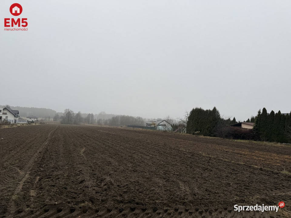 Sprzedam grunt Niewodnica Kościelna 9256m2 370m sprzedam