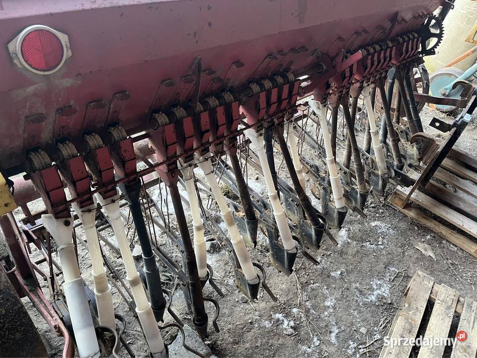 Siewnik poznaniak łódzkie Rogaczówek