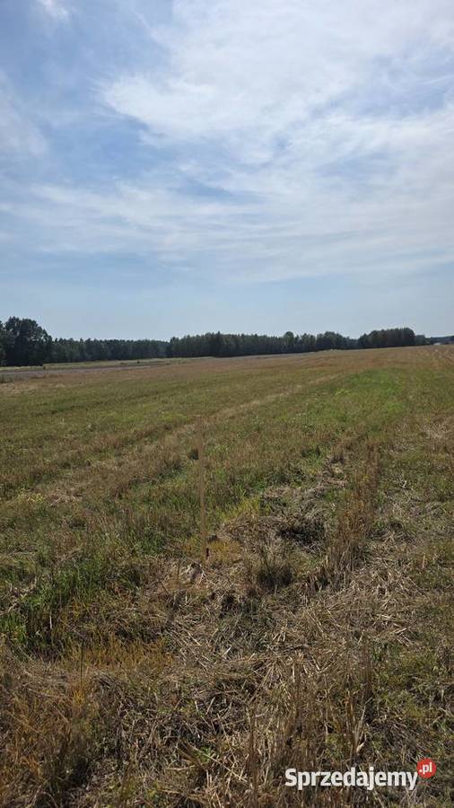 Na sprzedaż działka budowlana Rozpłucie Drugie Nieruchomości