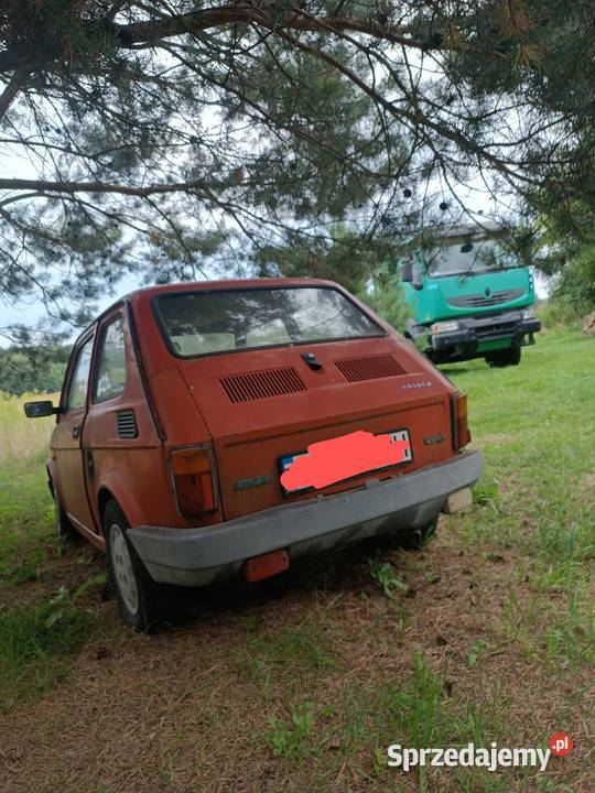 Sprzedam Malucha Krasnystaw sprzedam