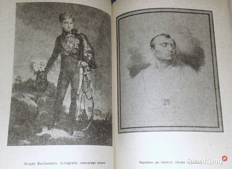 Synowie Napoleona Część 1 Jadwiga Dackiewicz Chełm