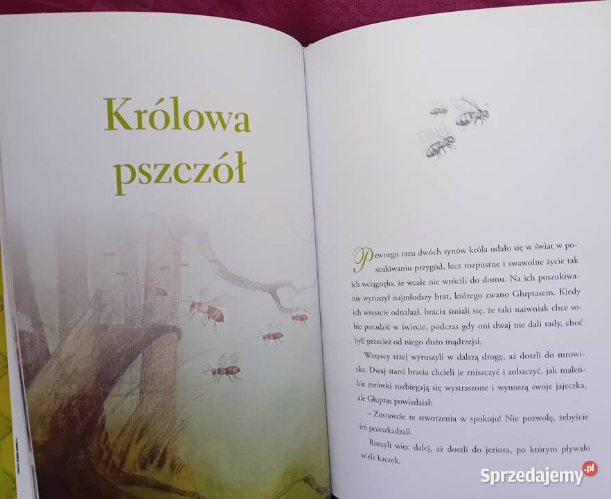 Baśnie świata Tomcio Paluch i inne baśnie GW twarda
