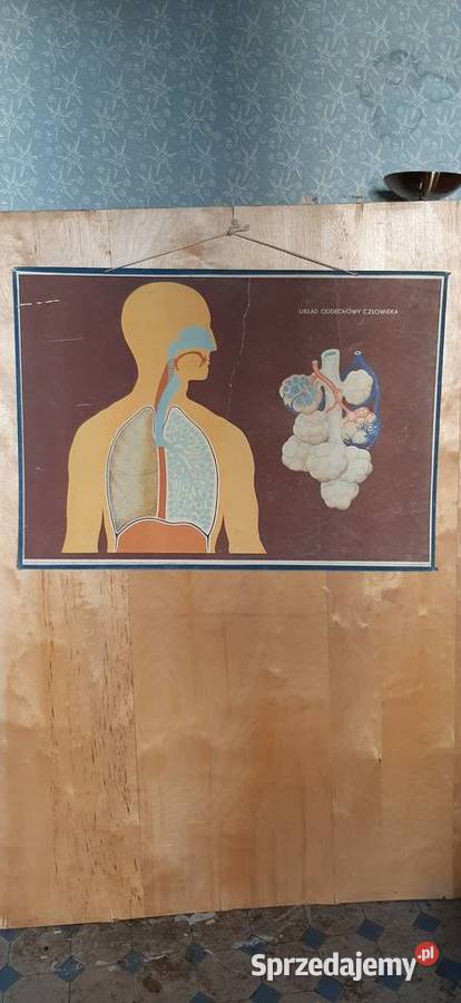 Tablice edukacyjne prl