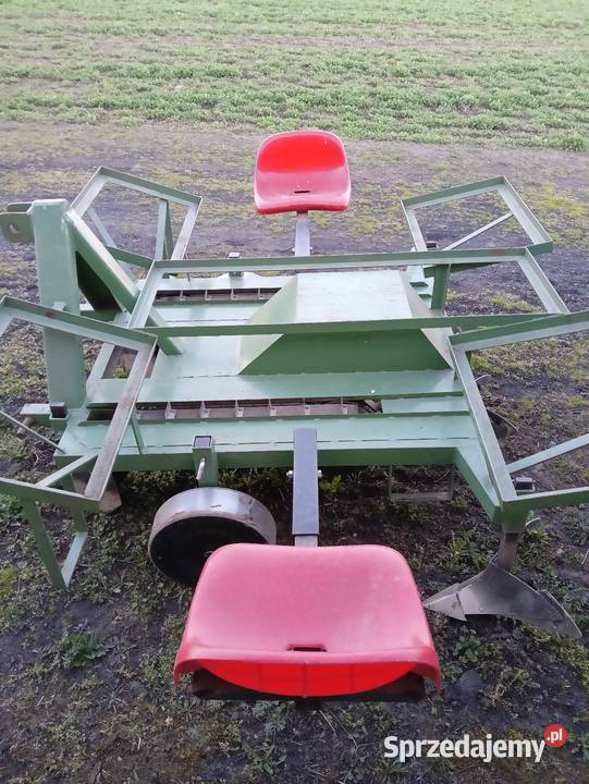 Sadzarka do ziemniaków podkiełkowanych Płońsk sprzedam