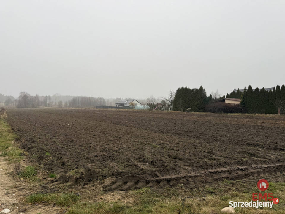Grunt do sprzedania 9256m2 Niewodnica Korycka