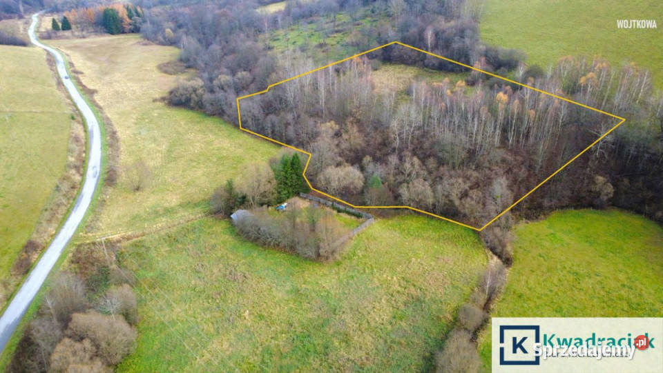 Grunt Nowosielce Kozickie 53765m2 podkarpackie