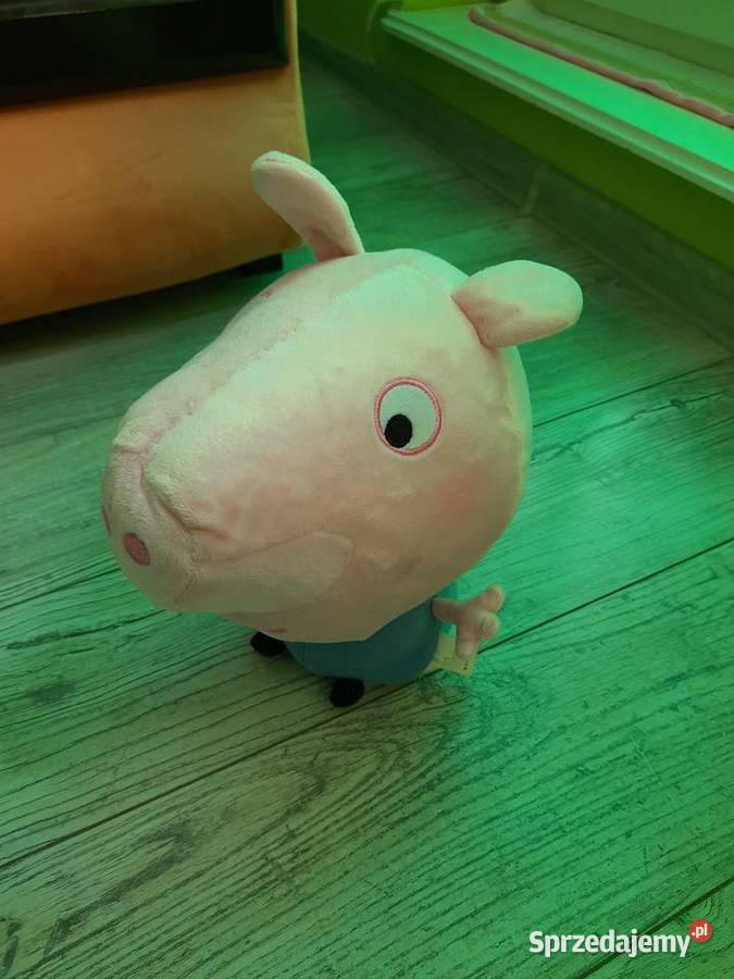 10 pluszaków dzieci Goleniów