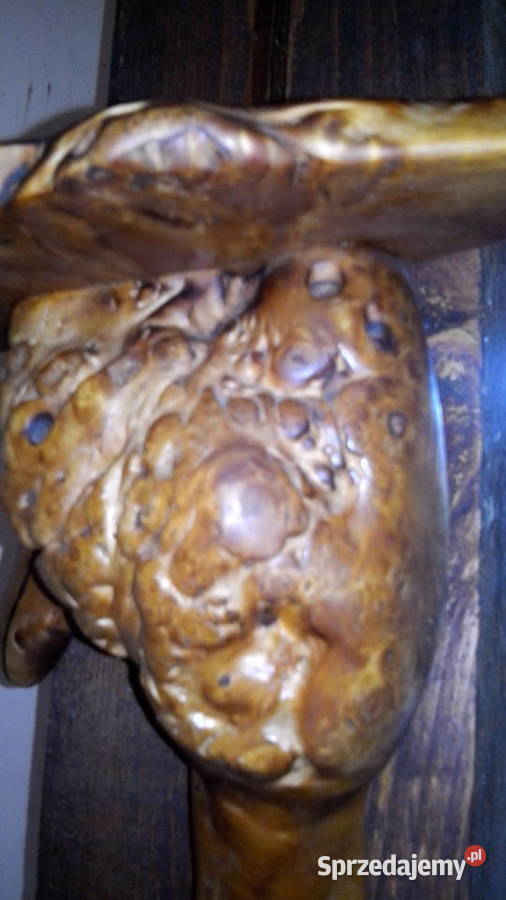 Półka z korzenia ręcznie robiona Warszawa sprzedam
