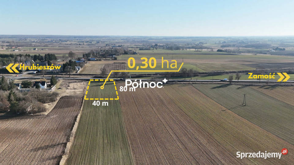 Działka komercyjna 030 ha DK74 Alojzów lubelskie sprzedam