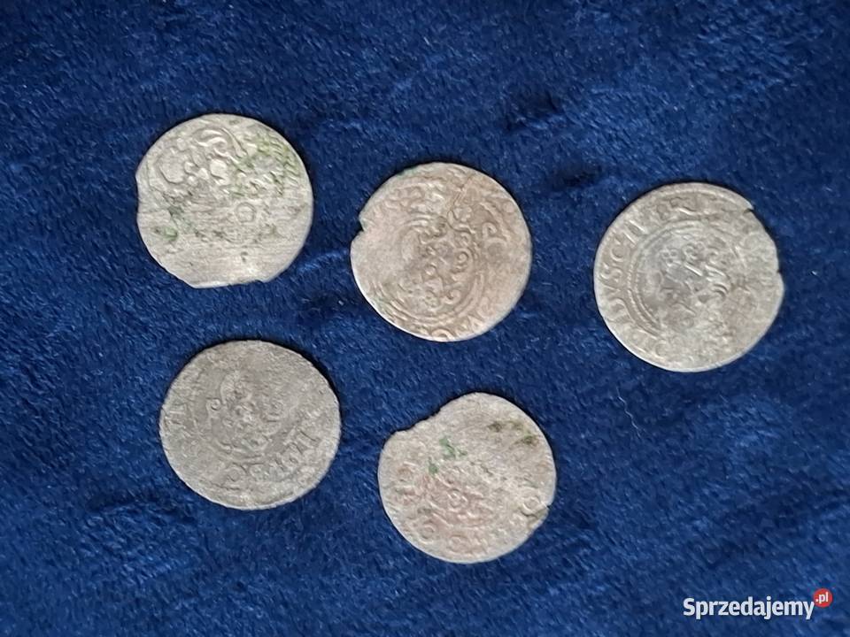 5 x szeląg z epoki Wazów 16111660 Antyki, Sztuka, Kolekcje Wejherowo
