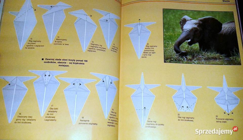 Origami Papierowe zoo Hector Rojas F lubelskie Chełm