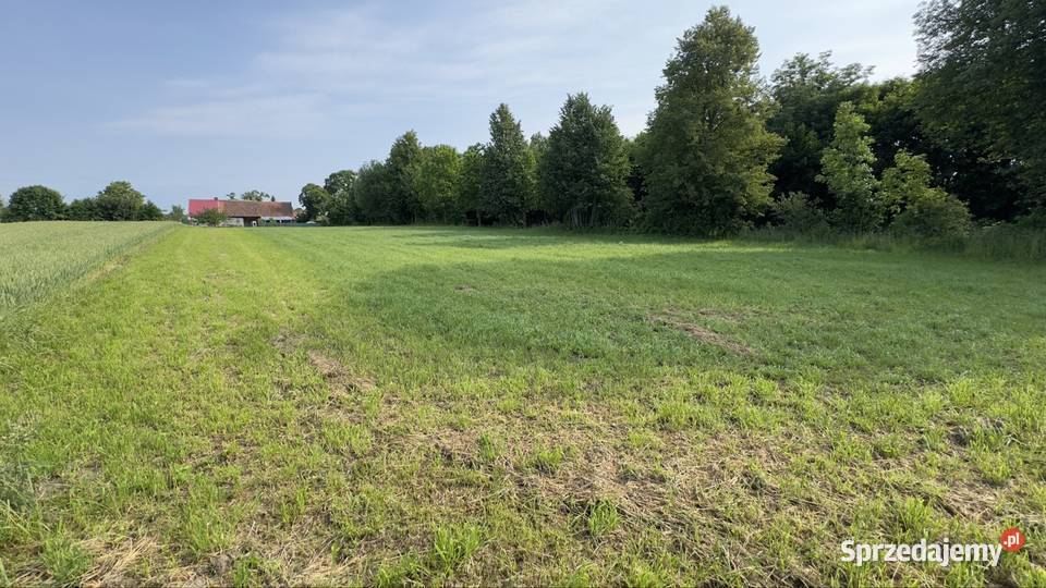 Dwie działki budowlane 4209m22105m2 i 2104m2 Tułodziad