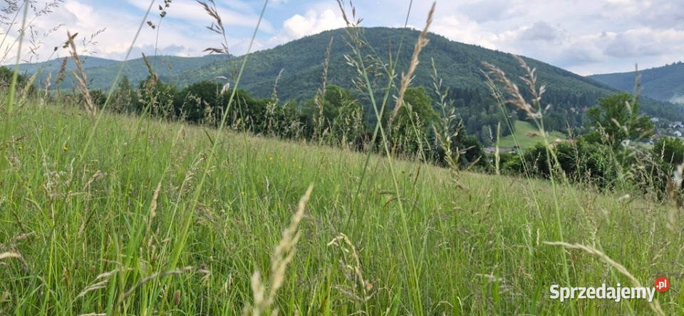 Widokowa działka odkryj spokój w Beskidach Brenna