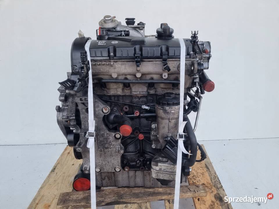 SILNIK KOMPLET Seat Leon II 19 TDI 105 ładnie