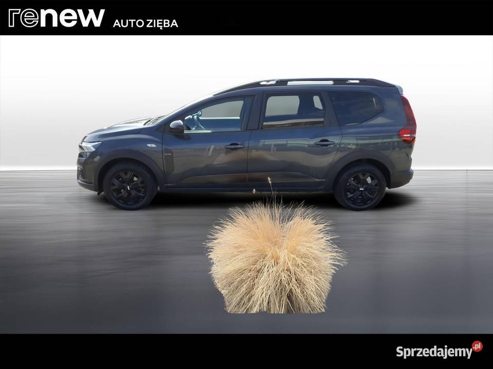 Jogger 10 TCe Extreme LPG 7os isofix