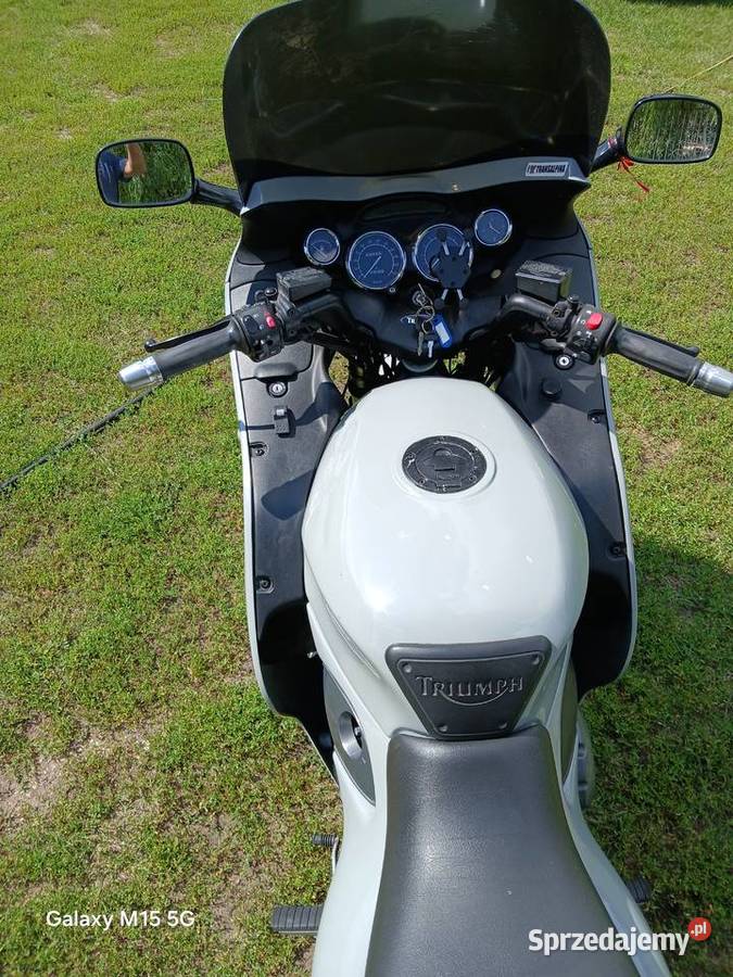 Triumph Golanka