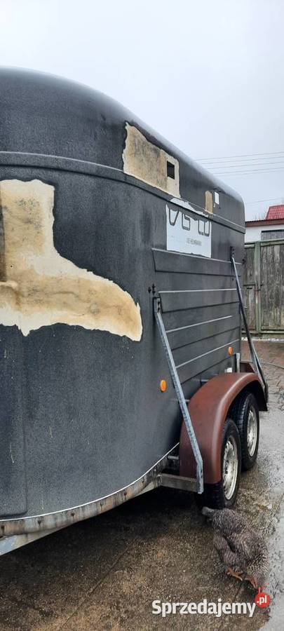 Przyczepa do przewozu koni Czerwona Woda sprzedam