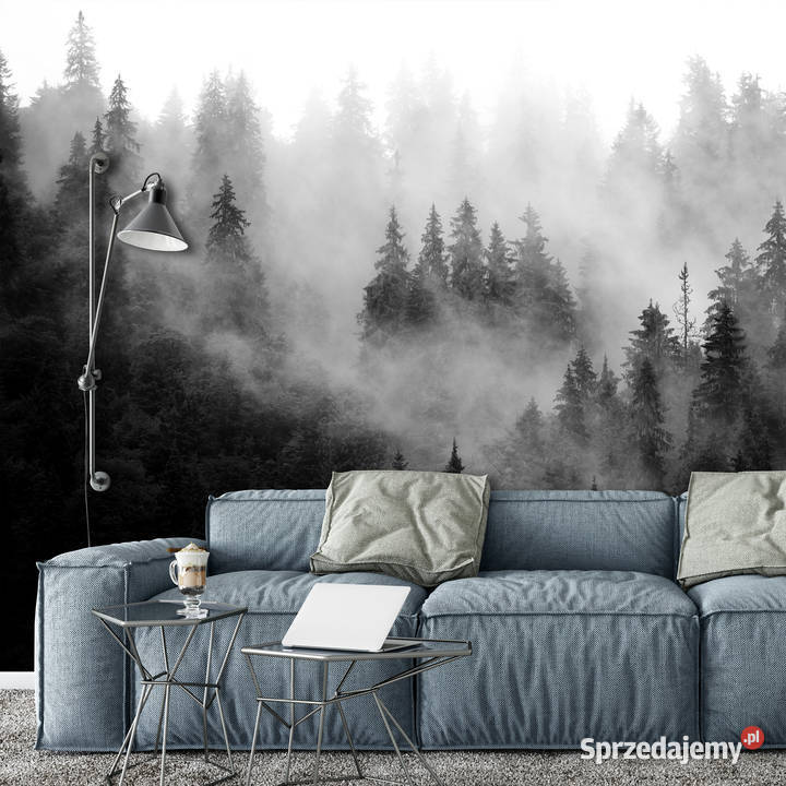 Tapeta fototapeta Las Las we mgle 3D Leszno