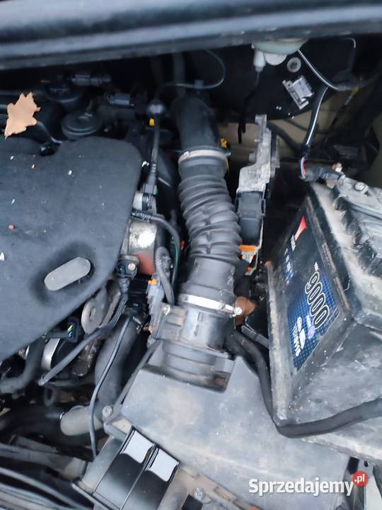 Citroen jumpy 2018 6 osób long Jumpy Combi