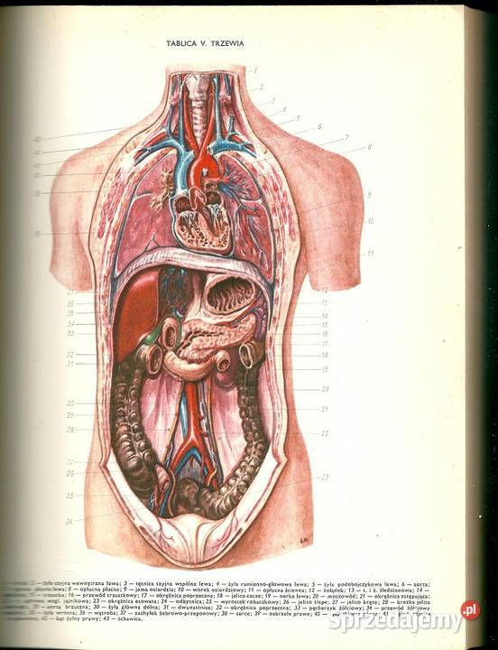 Lekarski poradnik domowy red BZaremba 1973 Łódź