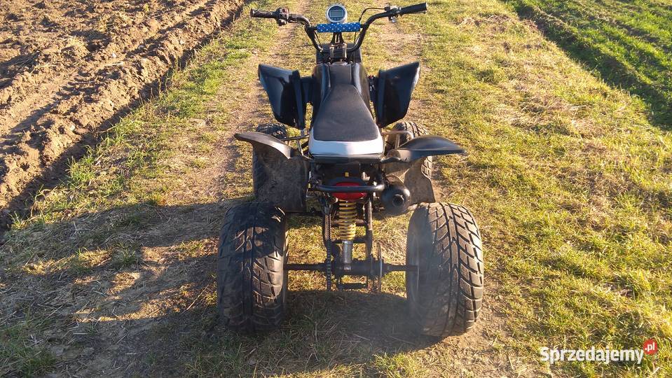 Quad 250 Bashan Zongshen Kingway Staroźreby