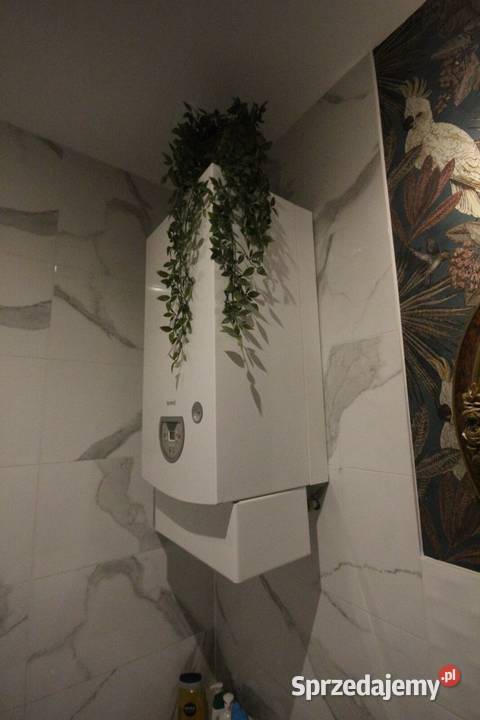 2pok 45met Jemiołowej PIWNICA Wrocław