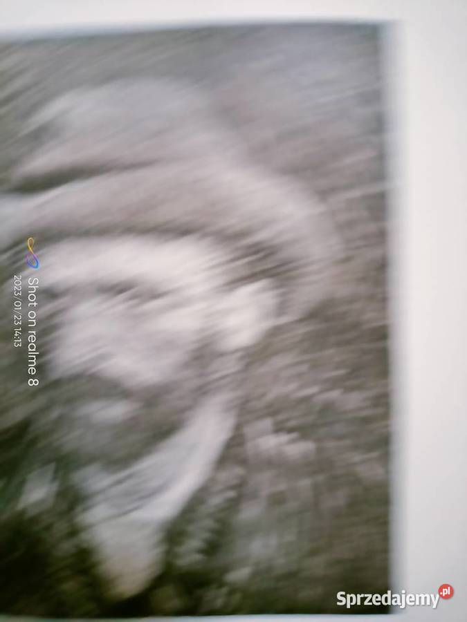 Pasja życia Stone biografia malarza Van Gogh mazowieckie Warszawa