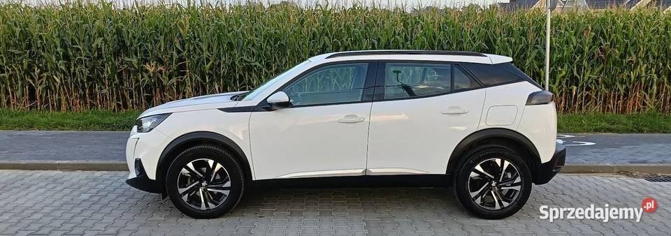 Peugeot 2008 12 100 koni 2020 2008 Płock