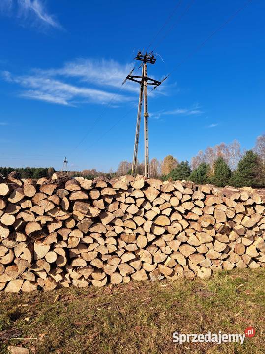 Drewno kominkowe Częstochowa sprzedam