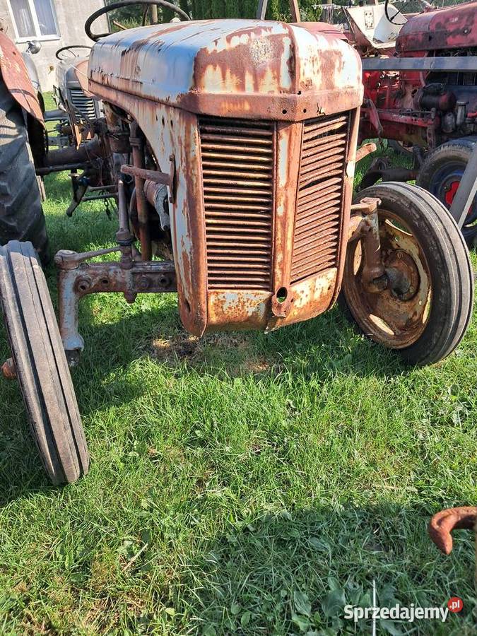 Ferguson TEA 20 benzyna Gniewkowo sprzedam