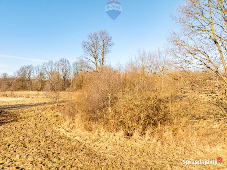 Działka budowlana Borek 895 ar Media