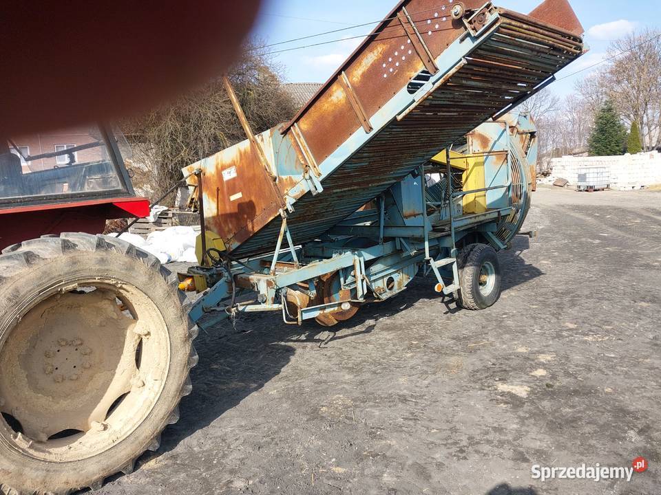 Anna nieuszkodzony Wilczopole-Kolonia