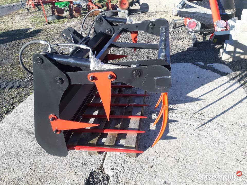 Krokodyl dolnośląskie