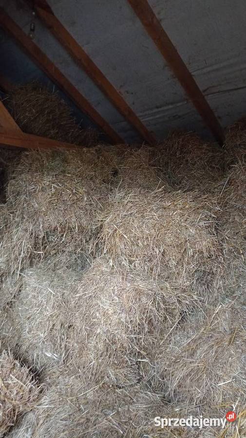 Słoma w kostkach Szarwark