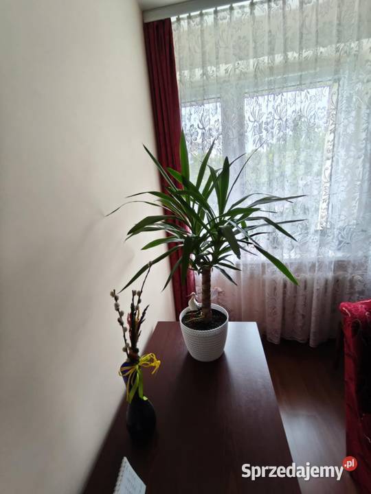 M3Retkinia pełen rozkład balkon 2p Z łódzkie Łódź