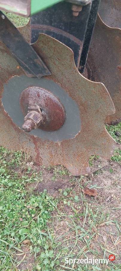 Talerzwka Bomet Kock