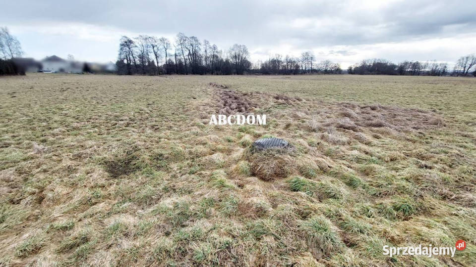 Cholerzyn działka budowlana 8 arów