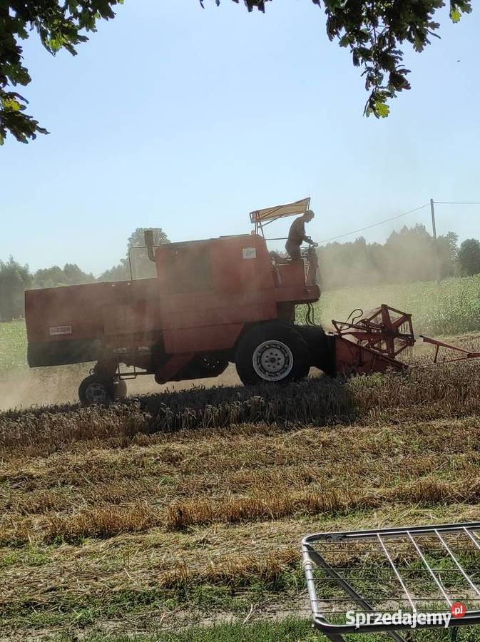 Sprzedam kombajn marki Bizon Z056 Golub-Dobrzyń
