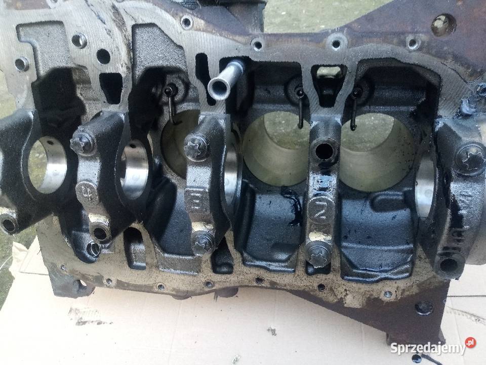 blok silnika renault 15 dci K9K 612 Blok silnika Goleniów