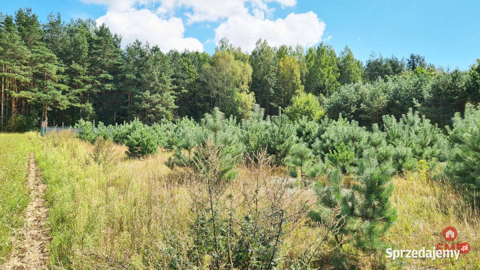 sprzedaży gruntu Wólka Poduchowna 1047 metrów Sprzedaż