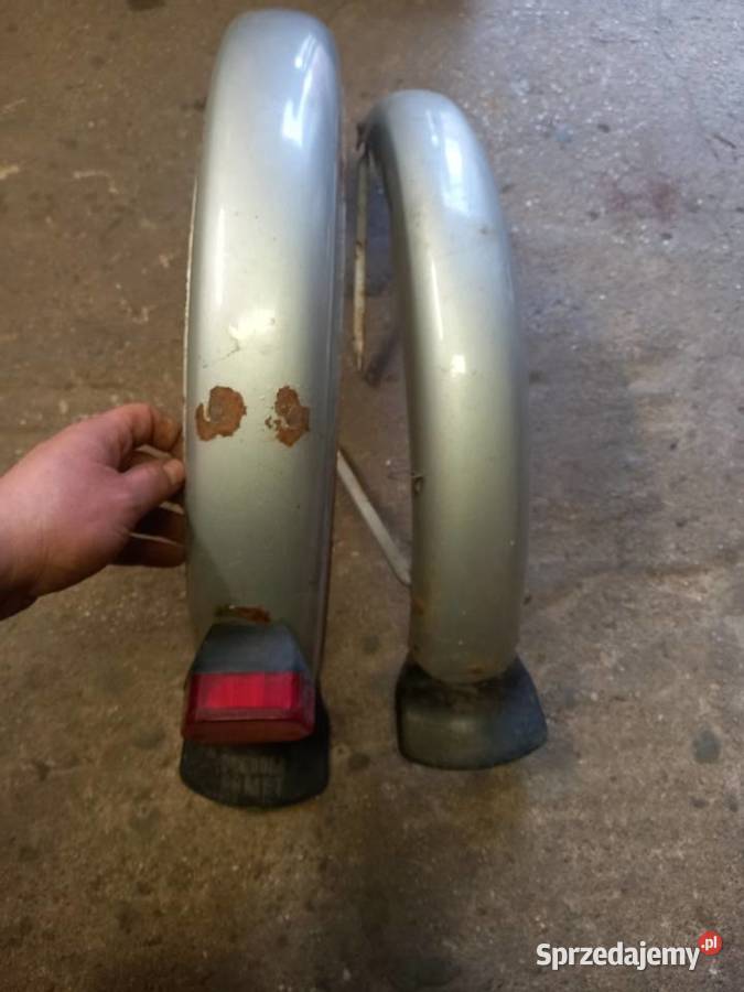 Błotniki romet ogar Sokołów Podlaski