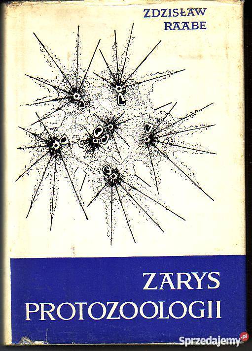 9177 ZARYS PROTOZOOLOGII ZDZISŁAW RAABE biologia, ekologia Czyrna sprzedam