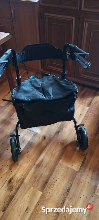 Chodzik trójkołowy z siedziskiem Pabianice sprzedam