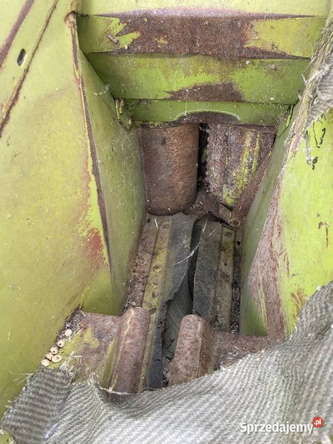 Sieczkarni do kukurydzy eska orkan itp Faściszowa