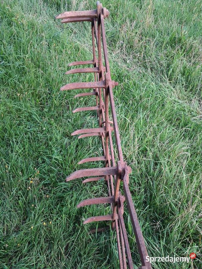 Pola bron Agco Lipnica