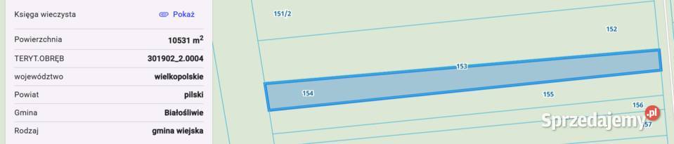 Łąka 0zł/m2 Białośliwie sprzedam