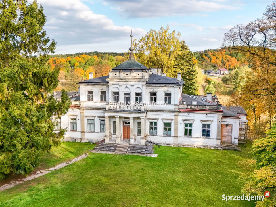 Sprzedam lokal Działoszyce 982m2