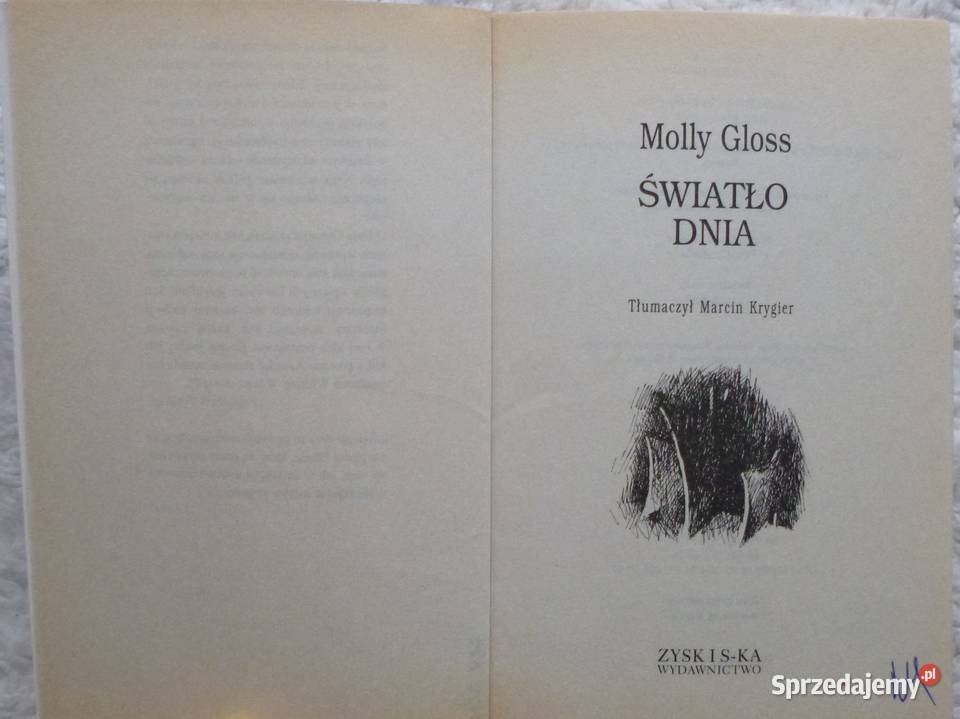Światło dnia Molly Gloss Rok wydania 2000 Warszawa