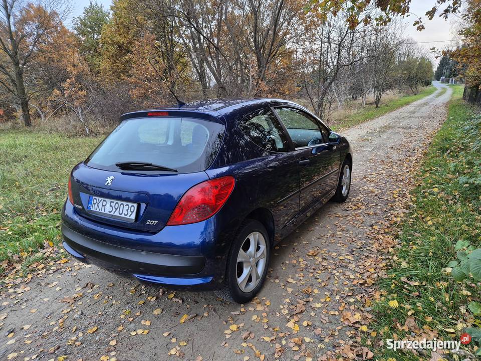 Peugeot 207 Potok